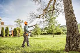 Best Soil Testing and Treatment  in New Kingman Butler, AZ